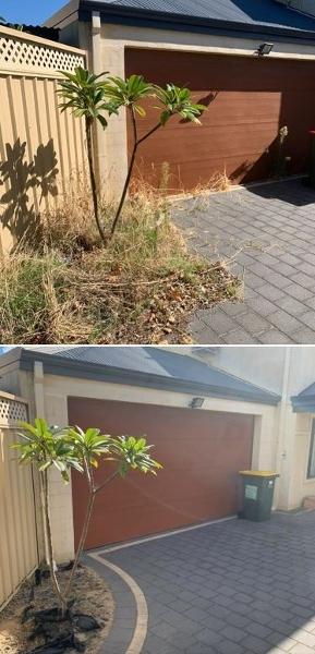Front yard tidy in Hocking - before & after