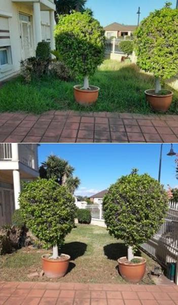 Lawn mowing in Blakeview - before & after