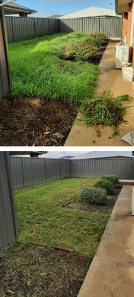 Lawn mowing in Blakeview - before & after