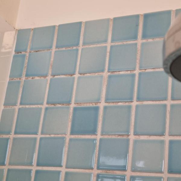 Stirling Mould in shower grout before clean