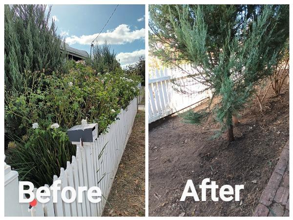Front Yard tidy up - Long Gully - Front yard tidy up for client a couple of weeks ago. its amazing the transformation a front yard can become with a tidy up.