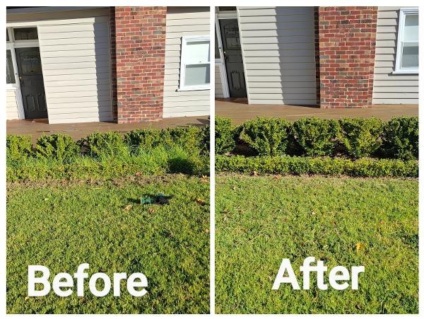 Weeding - Flora Hill - This overgrown garden bed full of weeds in between plants, was a job I started yesteday for a client in Flora Hill.