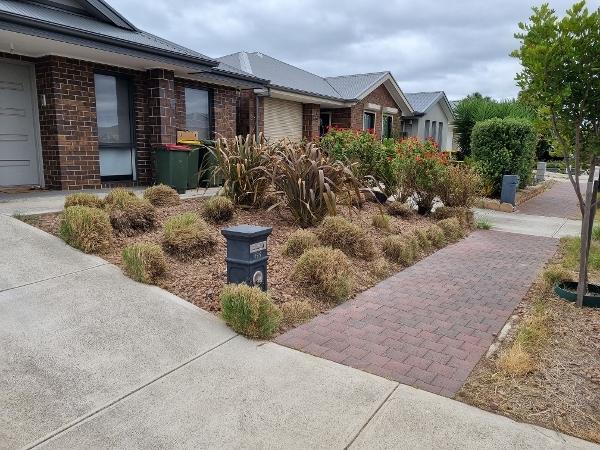 Overgrown Changes (After)