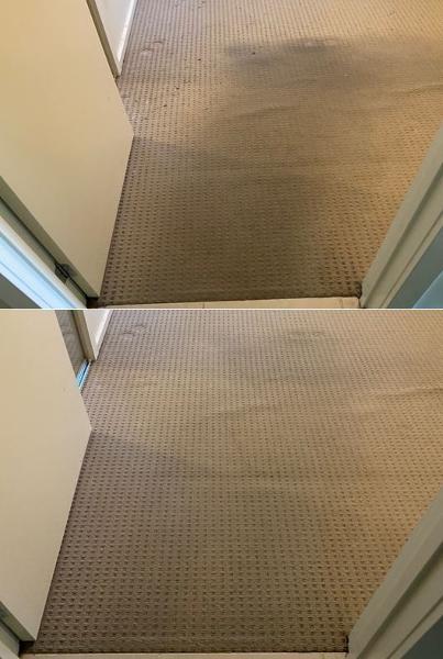 Carpet Cleaning - before & after