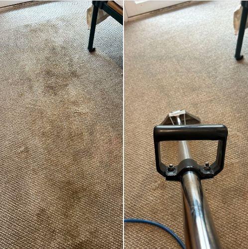 Carpet Cleaning - before & after