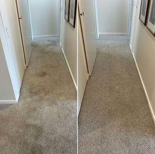 Carpet Cleaning - before & after