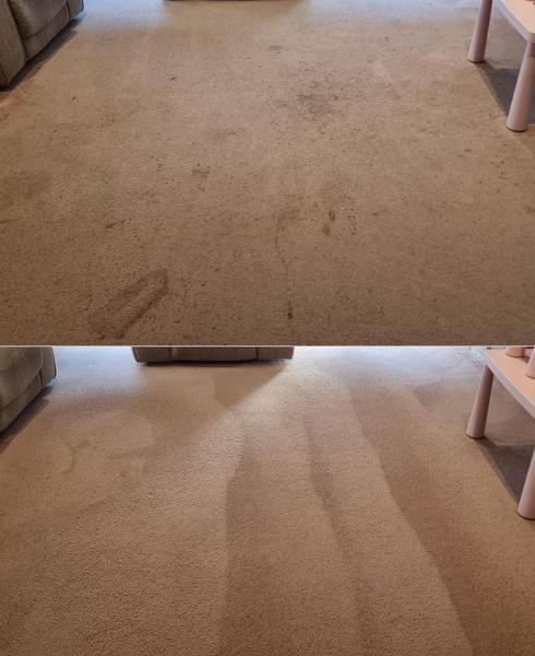 Carpet Cleaning - before & after