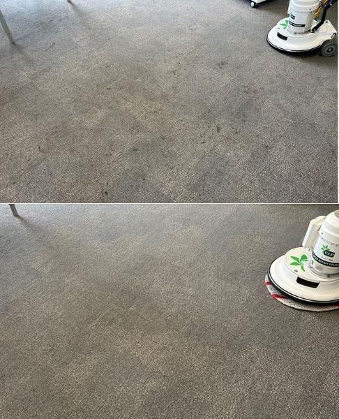 Carpet Cleaning - before & after