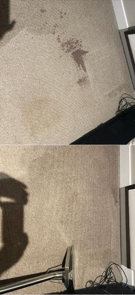 Carpet Cleaning - before & after
