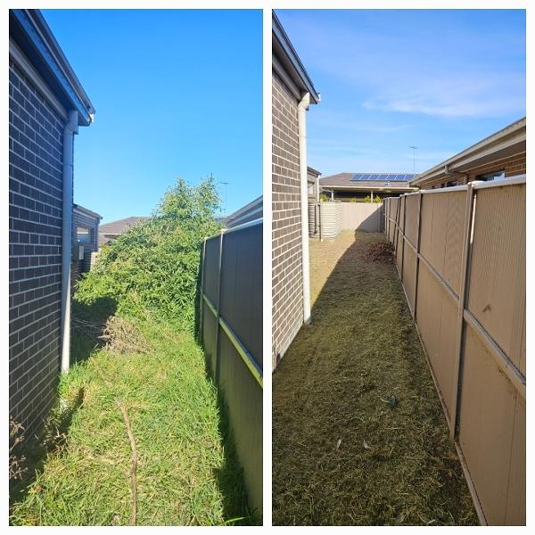 Yard tidy - before & after