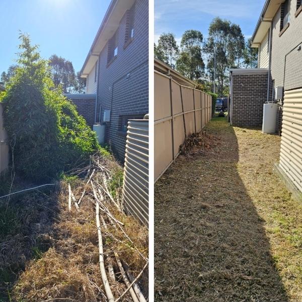 Yard tidy - before & after
