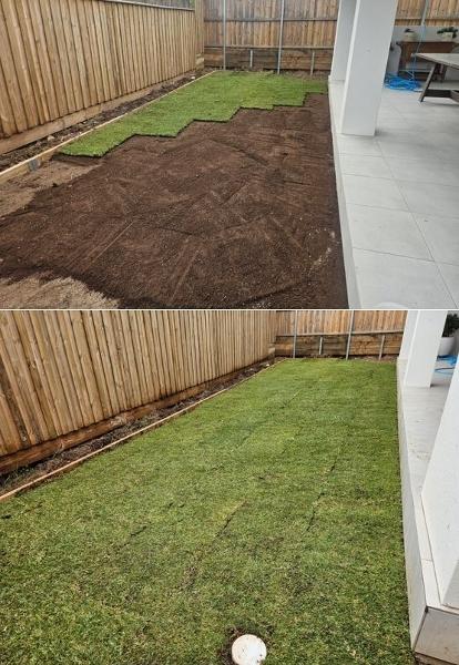 Lawn installation - during and after
