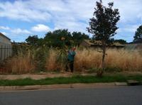 Empty Block - Has your empty block been invaded by weeds? Got the local council on your back? This was a block I got asked to clean up in Athelstone, Adelaide, South Australia.