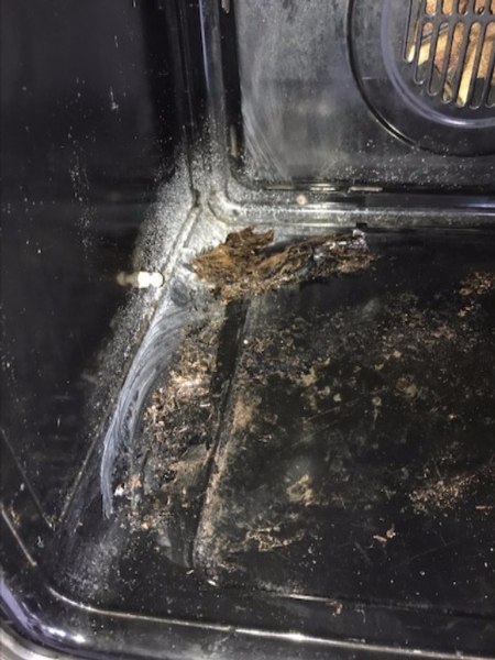 Oven Clean Before