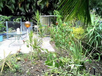 Brinkin before Garden Tidy / Mulch - Before picture of a courtyard in Brinkin.