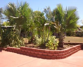 Palmerston Aged care - After the clean up, by seperating the plants and trees it lets in the breeze and easier to maintain.