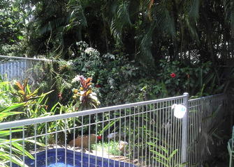 Brinkin Before Garden Tidy / Mulch - Before pictures Brinkin spa area