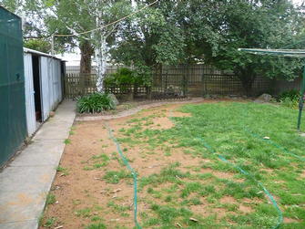 Lawn in Mount Barker - Before #2