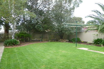 Lawn in Mount Barker - After #1 - After a few months of working with the customer we were able to get her lawn back to where it should be.