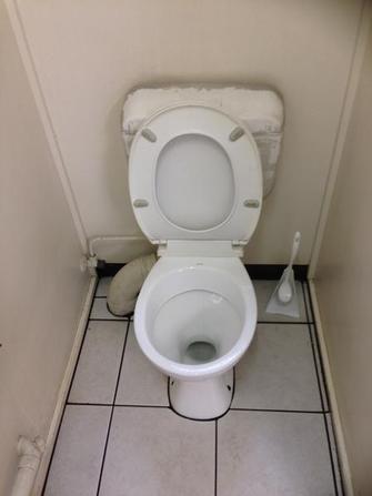 After - toilet clean in Office at Banyo