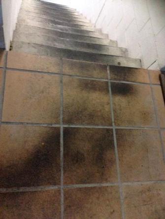 Before -Tile and  Concrete Stairwells Scrubbing in New Farm