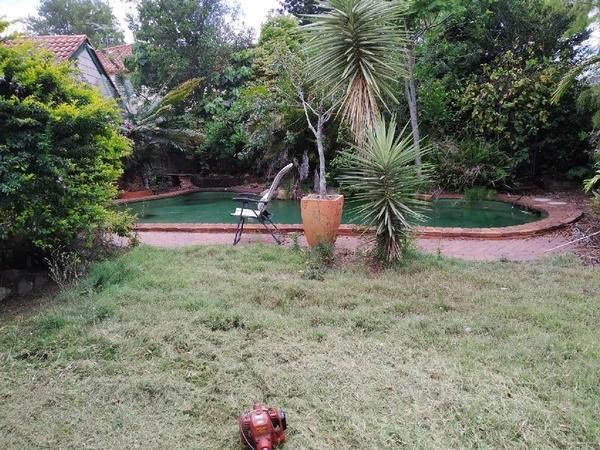 Before Front Yard
