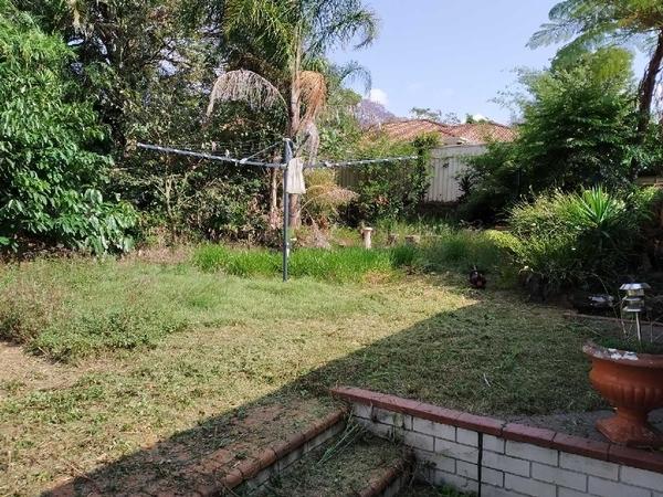 Before Back Yard