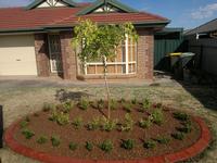 After 1 - this arrangement was designed in proportion with the current edging that was originally there. it consists of tom thumb and japanese hedge plants with a beautiful weeping mulberry in the centre. the entire area was covered with a cottage pebble which set it off and coincided with the appeal of the property.