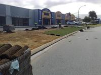 Turf Laying