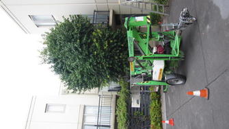 Quest Apartments hedge trimming - Hedge trimming in South Yarra.