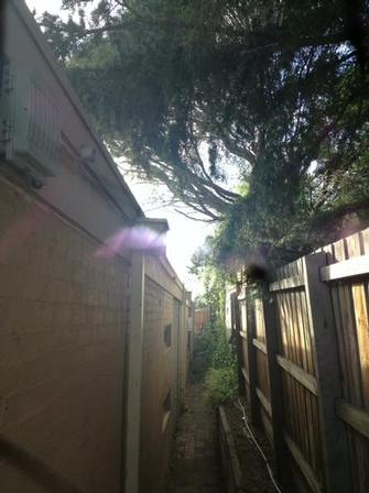 Sideway clearing in Hawthorn East before - This is a common thing that i see most days, the neighbour has trees over hanging your place, clogging up your guttters and making a mess. This tree was in Newport VIC.