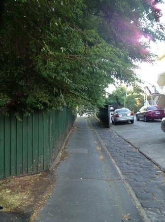 Alley way uplift before shot - This Alley way in Hawthorn East was so blocked, a car could bearly get through it, let alone a truck! iIf the tree is in your property and is hanging over like this, you are responsible for it. If a car gets damaged by it, you could be liable.