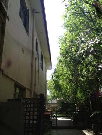 Gutter Clearing after shot 3 - No more possums, no more branches keeping you up at night when they rub against the roof, no more darkness, no more fuss!