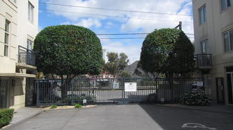 Quest Apartments hedge trimming - Tree pruning in South Yarra.
