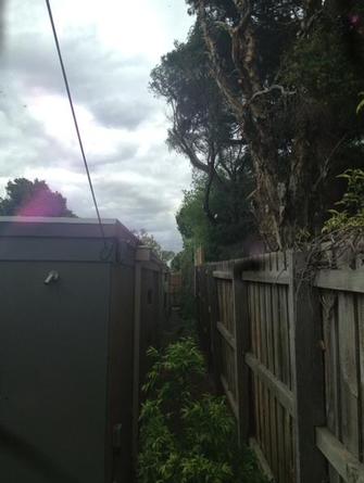 Sideway clearing in Hawthorn East after. - This is what it should look like if you want to have your gutters clear and light coming back into your place for Winter.