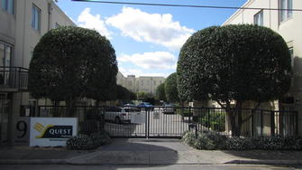 Quest Apartments hedge trimming - Tree shaping in South Yarra.