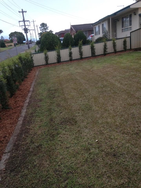 Renovated garden and lawn
