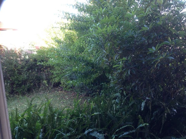 Before