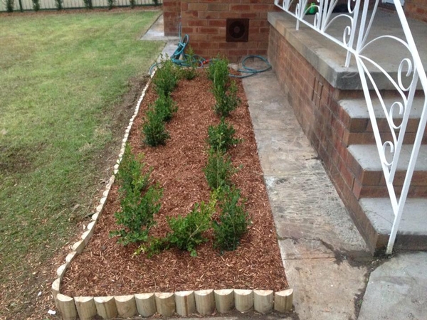 New mulch, edging and plants