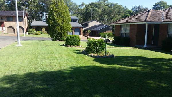 Photo 6
