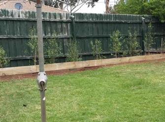 Completed treated pine sleeper retainer, pittosporum hedge to create screen along rear boundry & mulch