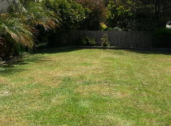 AFTER:  Manicured lawns & edges/bushes pruned greenwaste taken