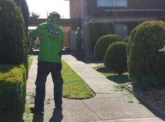 Vip specialised hedge trimming