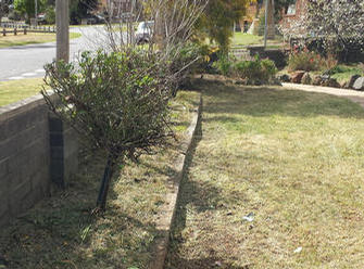 AFTER:  Roses pruned/cutiings picked up, garden beds snipped minor grass excess residue sprayed with industrial strength herbicide, edges & lawns manicured, greenwaste taken.
