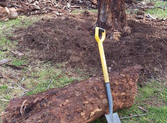 AFTER:  Tree lopping in final stages of removal.