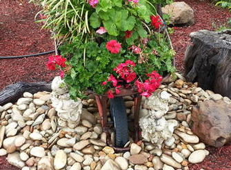 Vip completed garden feature inc: large smooth river peeble, bolders, stumps, weathered wheel barrow with annual flowers, native grass & palagonia's