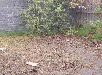 BEFORE:  Years of growth on paved area, including 200ml soil & grass weed overgrowth
