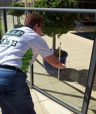 GLASS POOL FENCE CLEANING