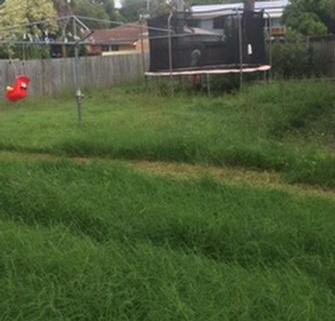 Lawn before and after - Above is the before picture and below is after I have completed the job. &nbsp;As you can see it is a vast improvement and the customer was very pleased&nbsp;with the result