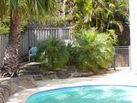 Entertainment Area - Palms around the pool area.